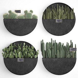 3D plants cactus wall decor