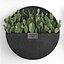 3D plants cactus wall decor