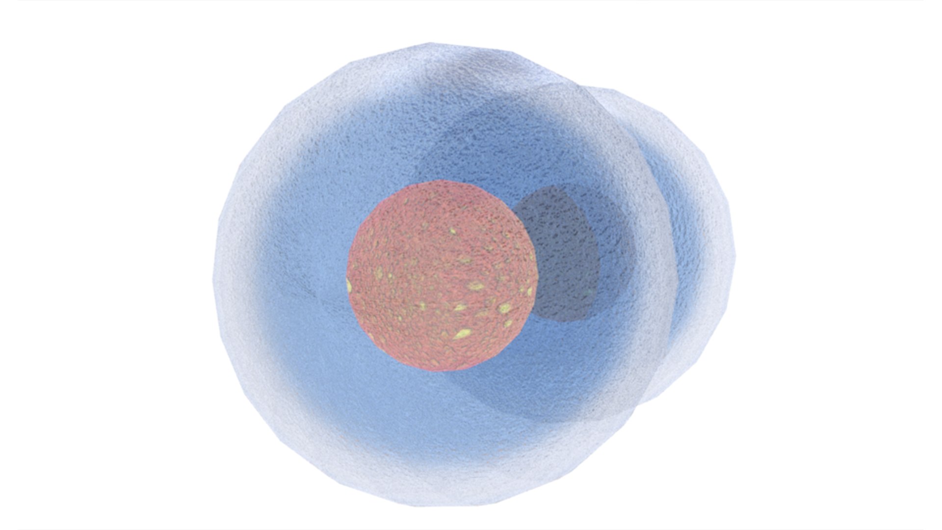 Cell Division 3D model - TurboSquid 2049250