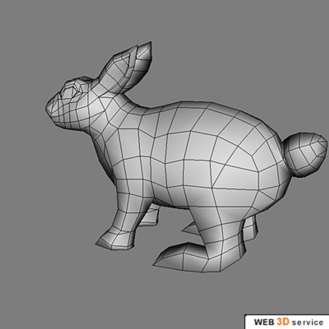 3d Rabbit Model