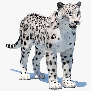 snow leopard max