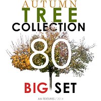 80 Autumn Tree Collection - BIG Set
