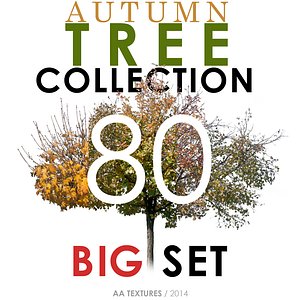 80 Autumn Tree Collection - BIG Set
