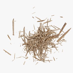 Animated  Splinter Explode Side