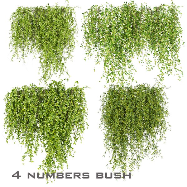 3D Collection plant vol 245 - fitowall - bush - ivy - 3dmax
