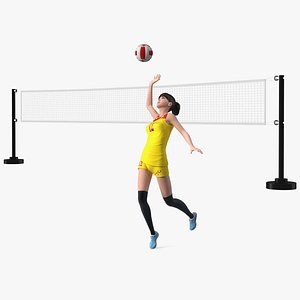 Rigged Chinese Woman Player with Volleyball Net Collection 3D model