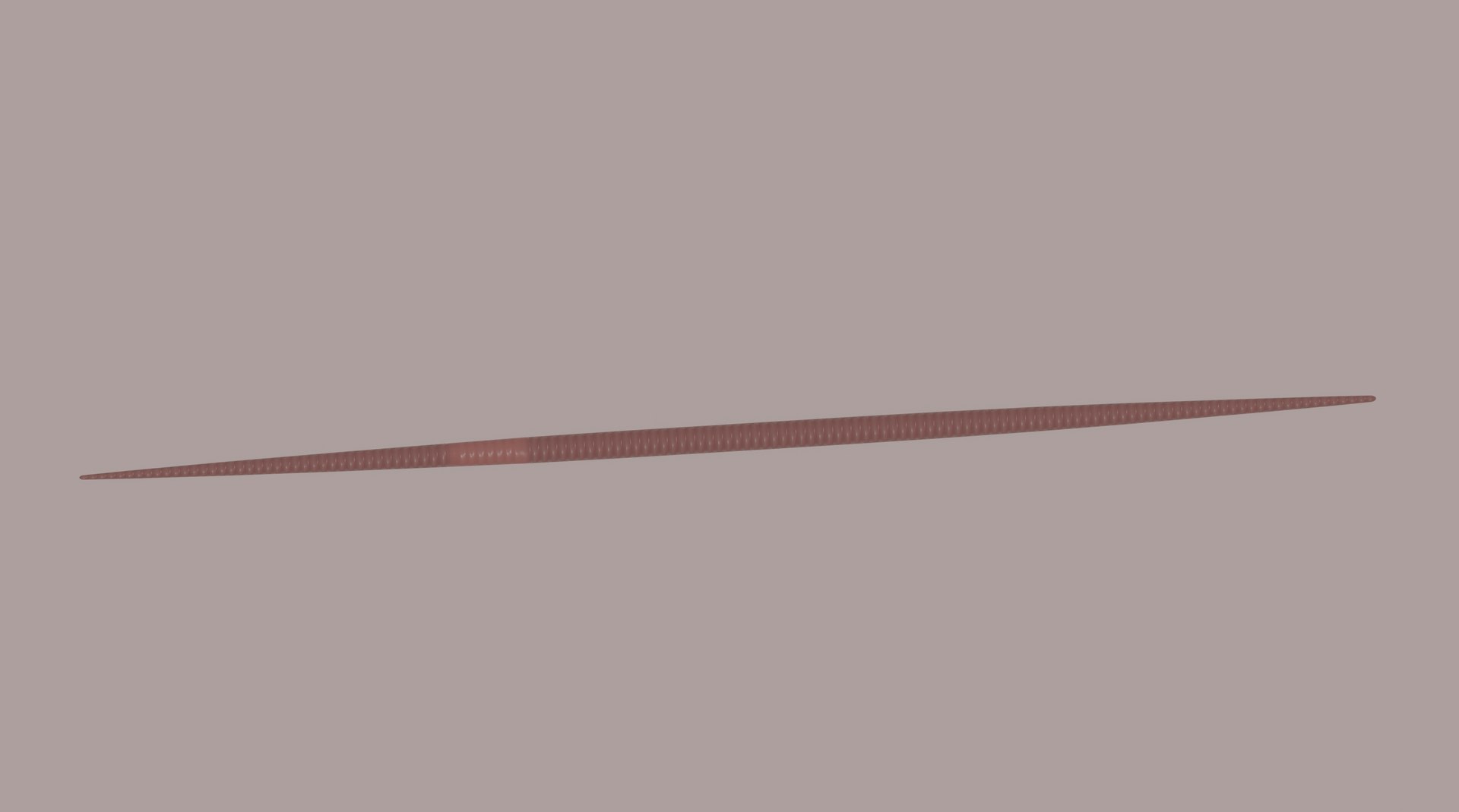 3D model Worm https://p.turbosquid.com/ts-thumb/3U/0i6rFs/Al/screenshot20240228at17.58.37/png/1709139694/1920x1080/fit_q87/5cd3bab1592513050562a9ecdd6f08c275063c26/screenshot20240228at17.58.37.jpg
