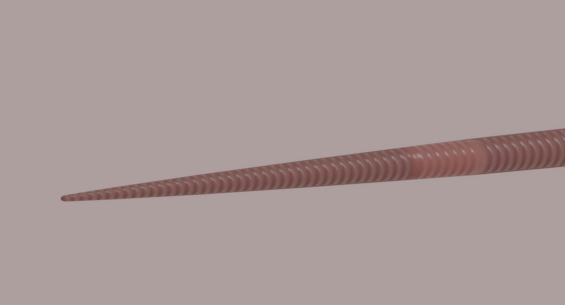 3D model Worm https://p.turbosquid.com/ts-thumb/3U/0i6rFs/km/screenshot20240228at17.58.58/png/1709139708/1920x1080/fit_q87/fb64361aa1678b4e1d089effb8ab3a0bc774772c/screenshot20240228at17.58.58.jpg