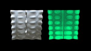3D 3D Cortical Layer-Version 2-33300-Solid Structure model