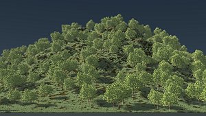 Forest hill 25L01 3D model