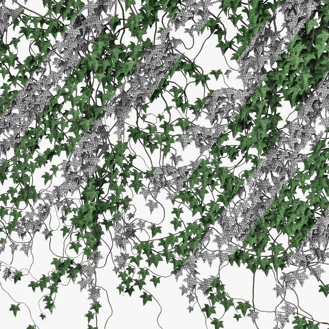 3D Ivy Wall - TurboSquid 1608456