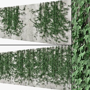 3D ivy wall