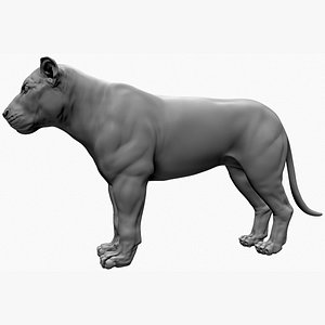 3D Lion High Poly 3d model model