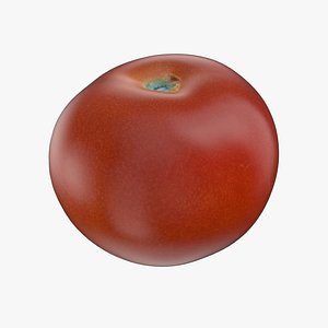 tomato pbr 3D model