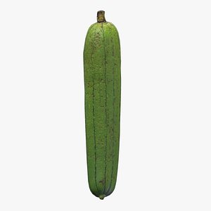 3D Melonfruit Low Poly Low Poly