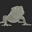 bearded dragon rigged ma