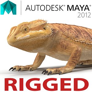 Bearded Dragon Rigged for Maya