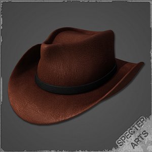 Leather Stetson Hat
