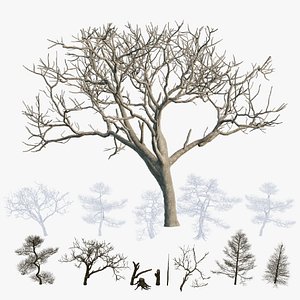 Dead Trees