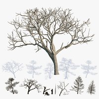 Dead Trees