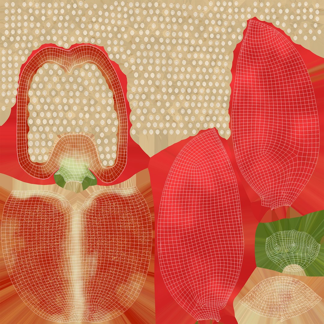 Chopped pepper 3D model https://p.turbosquid.com/ts-thumb/3U/lYfJ5Q/Qc/uv2/jpg/1722117575/1920x1080/fit_q87/a826e3ba9134c6d94b798cbb7f1f2e5fbaffa978/uv2.jpg