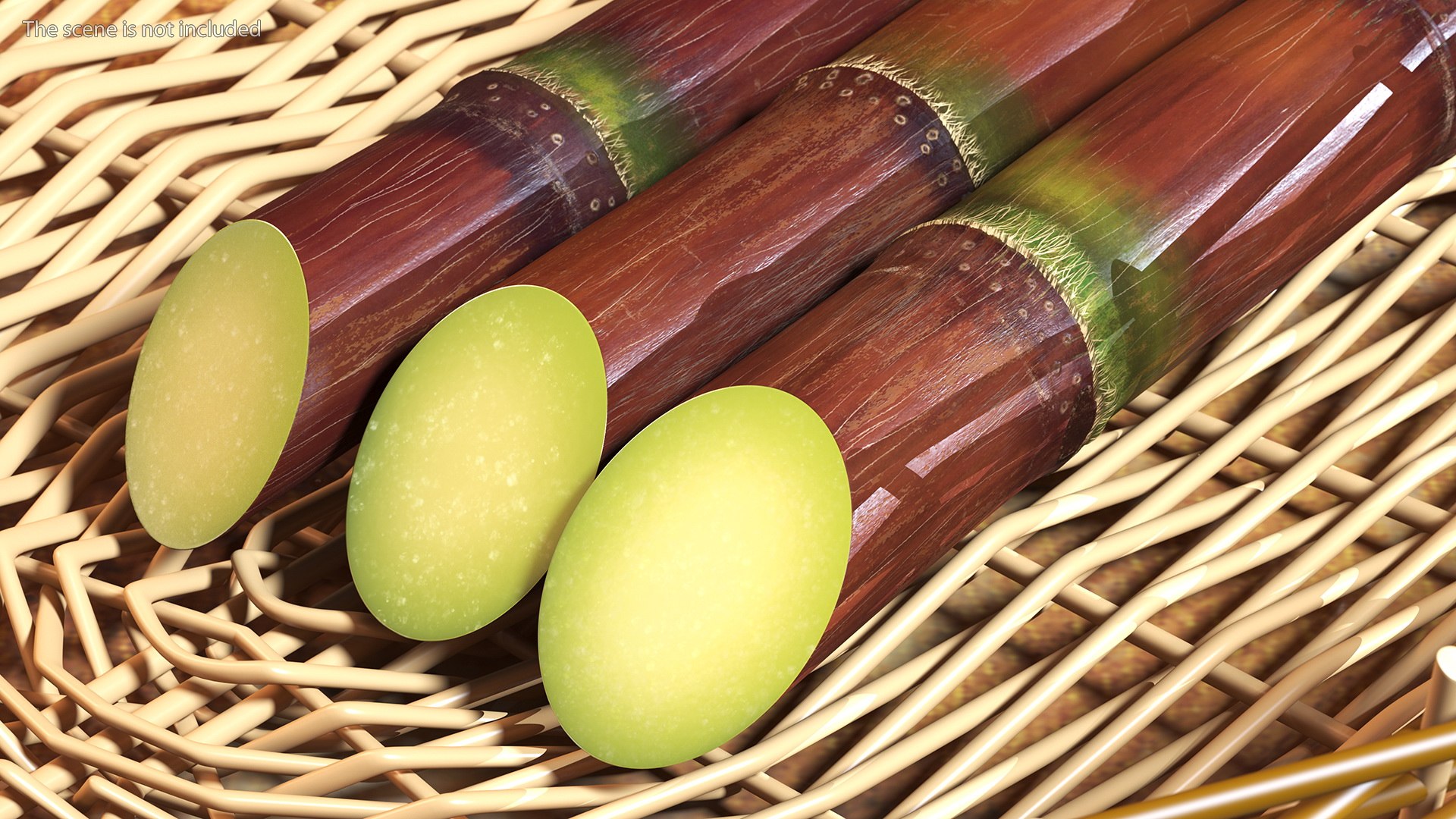 Brown Sugarcane Sticks 3D model https://p.turbosquid.com/ts-thumb/3U/mcnvgi/6A/brownsugarcanesticks3dmodel004/jpg/1645153927/1920x1080/fit_q87/950c628914910a0cc043cc949ac2fcfa22c2e0a7/brownsugarcanesticks3dmodel004.jpg