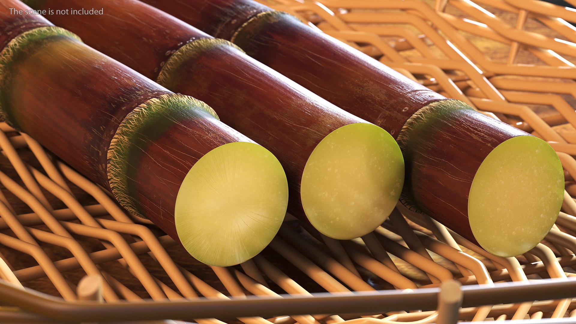 Brown Sugarcane Sticks 3D model https://p.turbosquid.com/ts-thumb/3U/mcnvgi/9k/brownsugarcanesticks3dmodel005/jpg/1645153930/1920x1080/fit_q87/76410232290338b20d3f61c7c53c568a18e148aa/brownsugarcanesticks3dmodel005.jpg