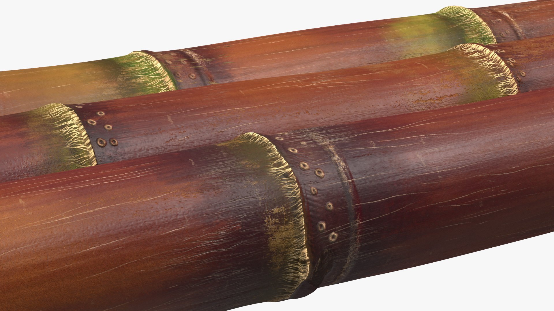 Brown Sugarcane Sticks 3D model https://p.turbosquid.com/ts-thumb/3U/mcnvgi/AR/brownsugarcanesticks3dmodel013/jpg/1645153954/1920x1080/fit_q87/3797c9a89ad634a8a88c19e1a79ba17581e86674/brownsugarcanesticks3dmodel013.jpg