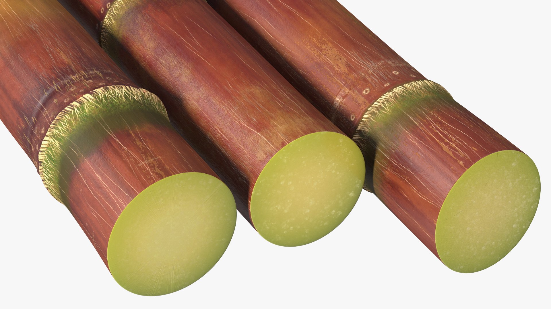 Brown Sugarcane Sticks 3D model https://p.turbosquid.com/ts-thumb/3U/mcnvgi/Xh/brownsugarcanesticks3dmodel012/jpg/1645153951/1920x1080/fit_q87/aa7941e816c9fd674689da337728f95969d33bac/brownsugarcanesticks3dmodel012.jpg