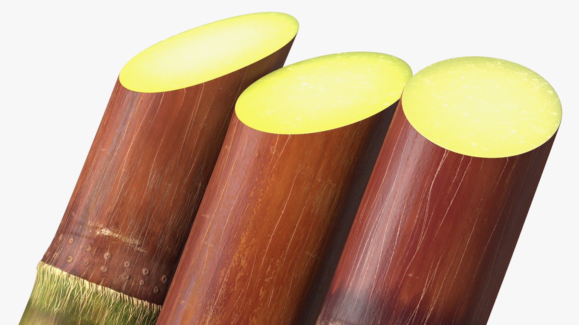 Brown Sugarcane Sticks 3D model https://p.turbosquid.com/ts-thumb/3U/mcnvgi/pS/brownsugarcanesticks3dmodel014/jpg/1645153957/1920x1080/fit_q87/b048c4e2145c5fb706cb3caf9a5e797a02f71a8e/brownsugarcanesticks3dmodel014.jpg