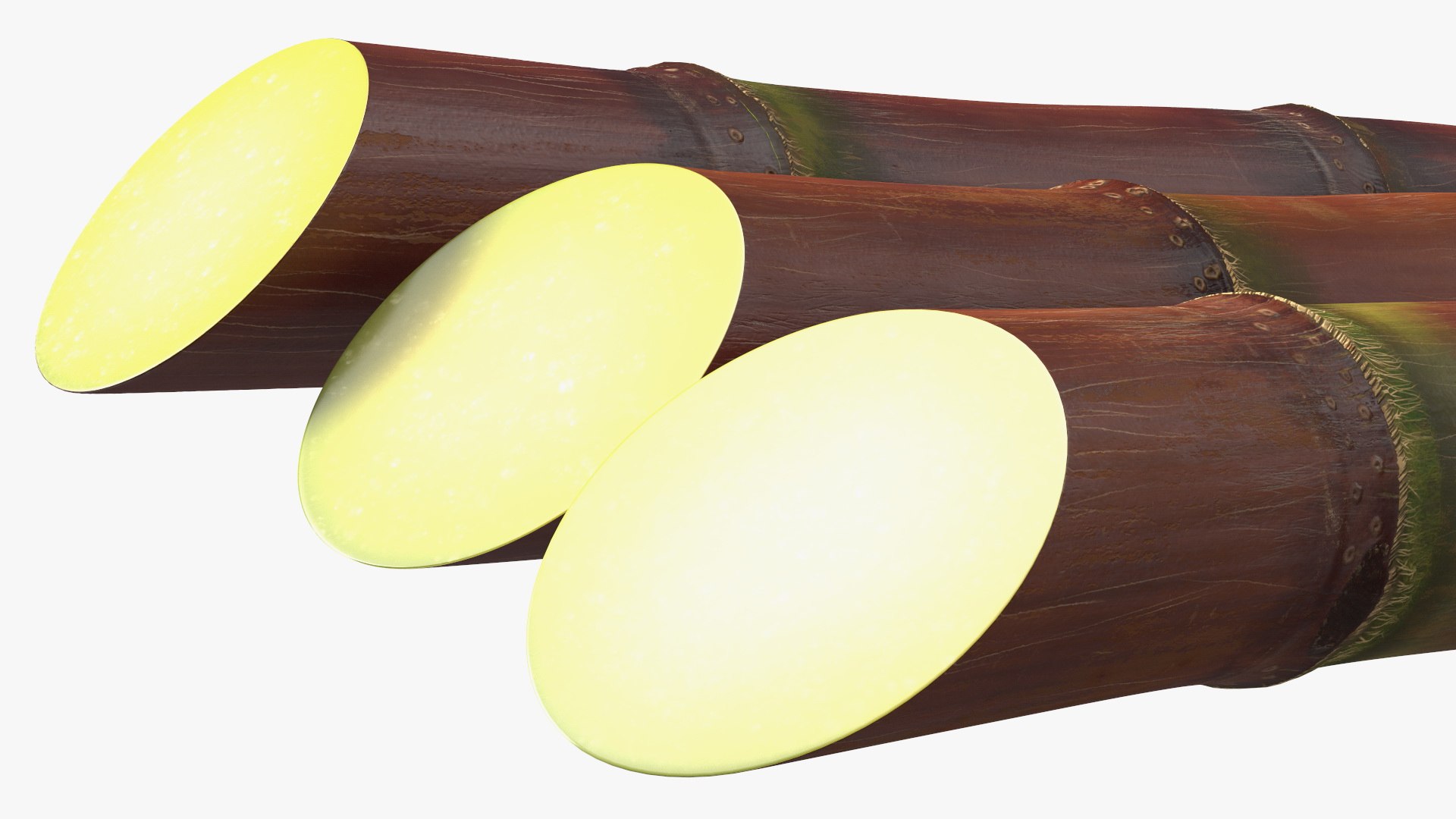 Brown Sugarcane Sticks 3D model https://p.turbosquid.com/ts-thumb/3U/mcnvgi/qa/brownsugarcanesticks3dmodel015/jpg/1645153960/1920x1080/fit_q87/a77535f35db34278fa79c411d17d3911ffd3565a/brownsugarcanesticks3dmodel015.jpg