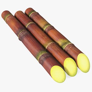 Brown Sugarcane Sticks