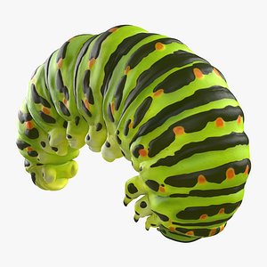 3d swallowtail caterpillar green model