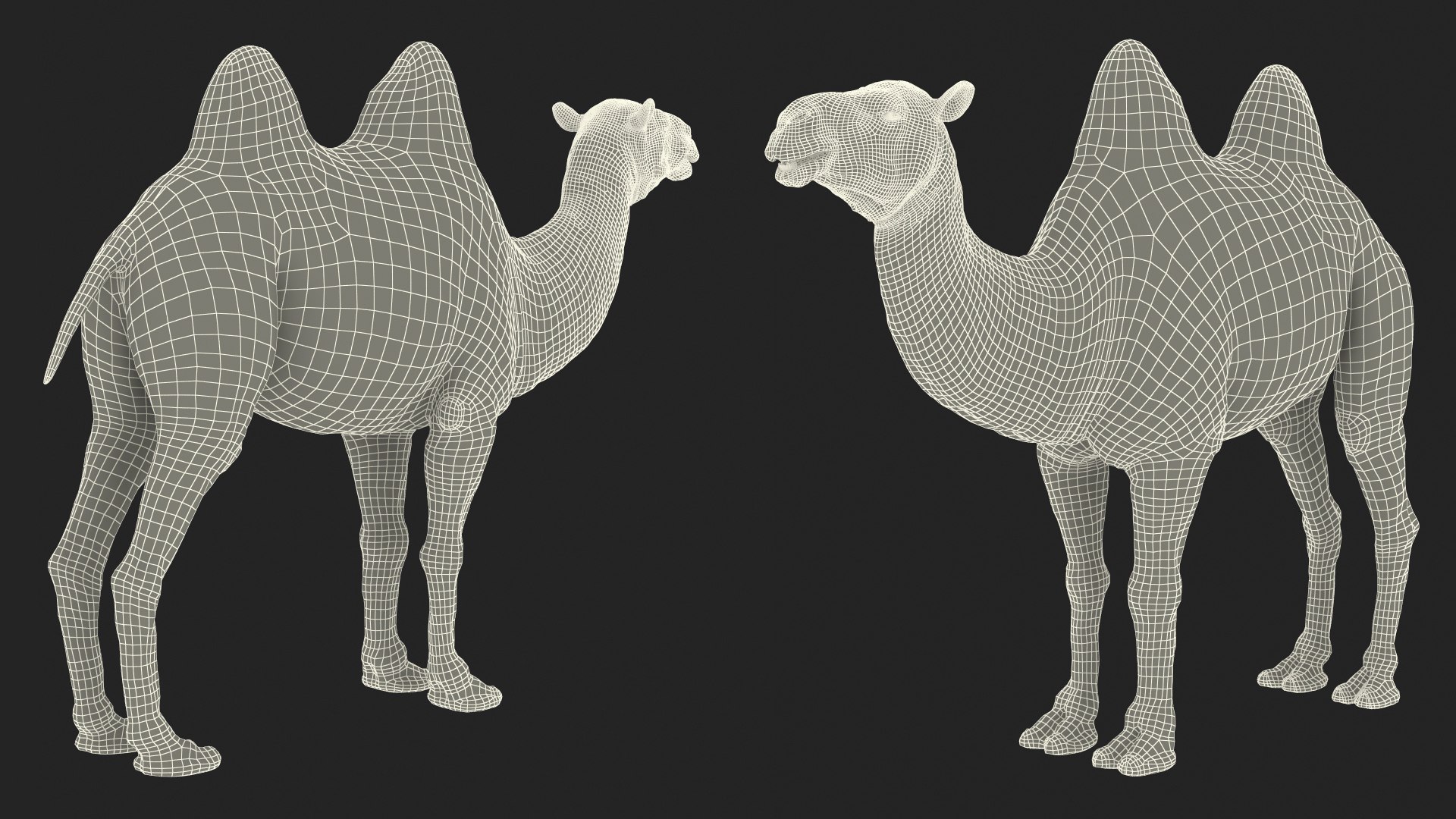 Bactrian Camel Rigged for Cinema 4D 3D model https://p.turbosquid.com/ts-thumb/3V/461MTt/DS/bactriancamelriggedforcinema4dc4dmodel038/jpg/1729151048/1920x1080/fit_q87/8e00e9cacb03fae8b646c3d00e83a612c332fcfe/bactriancamelriggedforcinema4dc4dmodel038.jpg