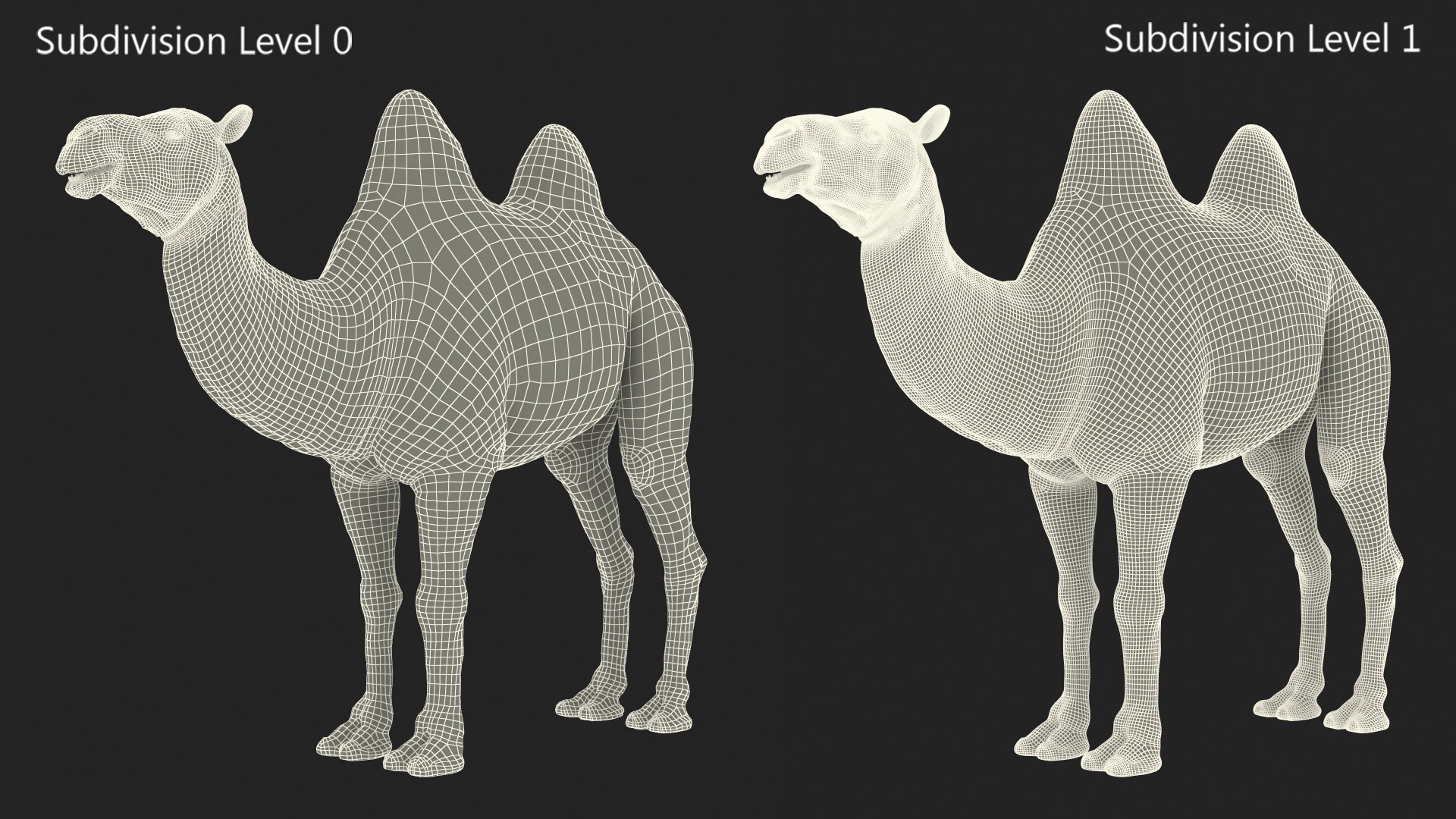 Bactrian Camel Rigged for Cinema 4D 3D model https://p.turbosquid.com/ts-thumb/3V/461MTt/Yj/bactriancamelriggedforcinema4dc4dmodel034/jpg/1729151022/1920x1080/fit_q87/46dbad9c9656f3dc0024997e0c3e72ef18a767fa/bactriancamelriggedforcinema4dc4dmodel034.jpg
