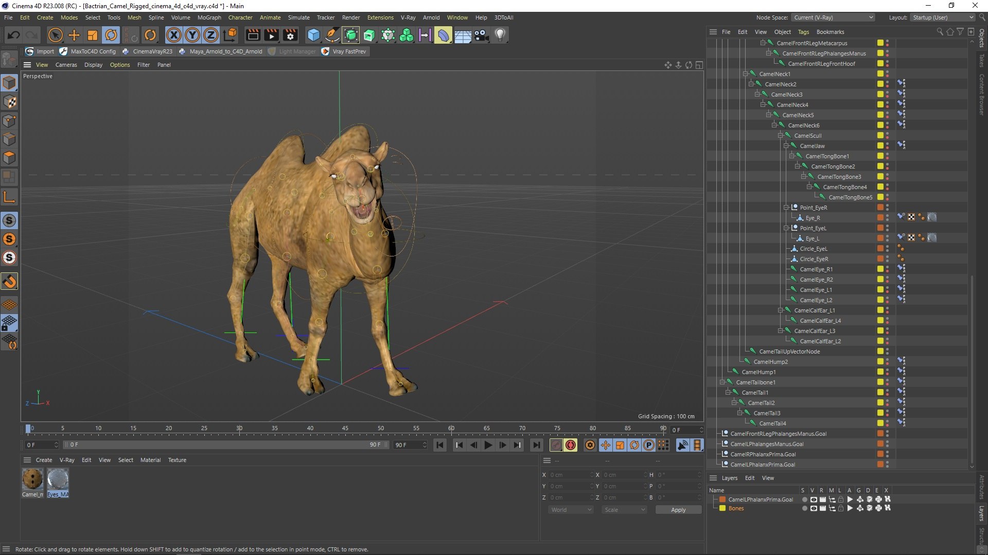 Bactrian Camel Rigged for Cinema 4D 3D model https://p.turbosquid.com/ts-thumb/3V/461MTt/tk/bactriancamelriggedforcinema4dc4dmodel048/jpg/1729151102/1920x1080/fit_q87/1b53f2429b2b0550b610def46857e5121f0aa3df/bactriancamelriggedforcinema4dc4dmodel048.jpg