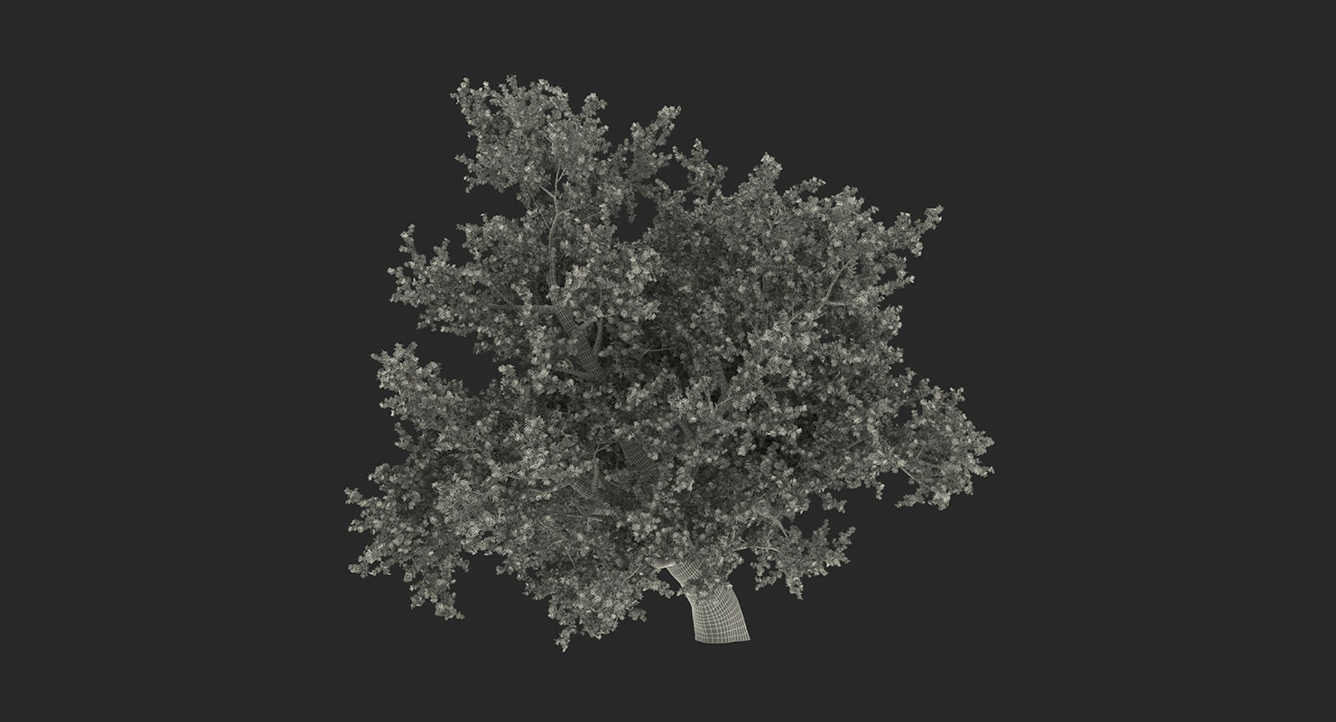 summer trees 2 3D model https://p.turbosquid.com/ts-thumb/3V/LAMIPj/2ep9e3wl/summertreescollection2mb3dmodel030/jpg/1538238327/1920x1080/fit_q87/d5f69a1b4f78b20e26d0d3a61813bf11b39bbcf4/summertreescollection2mb3dmodel030.jpg