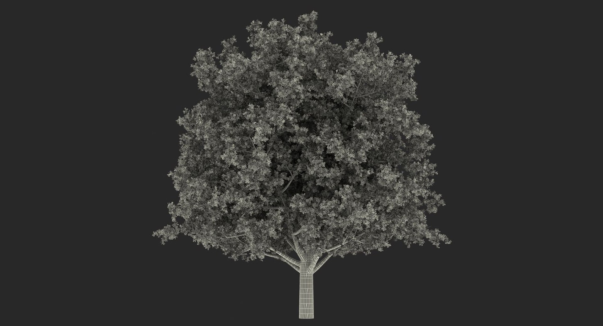 summer trees 2 3D model https://p.turbosquid.com/ts-thumb/3V/LAMIPj/70KuYkPg/summertreescollection2mb3dmodel037/jpg/1538238327/1920x1080/fit_q87/b4f522a4b8f906940b5cf868c5a4304144fad0db/summertreescollection2mb3dmodel037.jpg