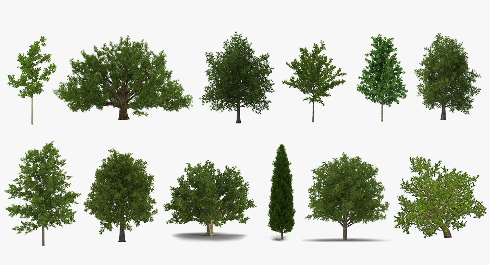 summer trees 2 3D model https://p.turbosquid.com/ts-thumb/3V/LAMIPj/Iwy69wIC/summertreescollection2mb3dmodel002/jpg/1538238327/1920x1080/fit_q87/d6360c697c54d1cc5b40100e6ba5267f790613e7/summertreescollection2mb3dmodel002.jpg