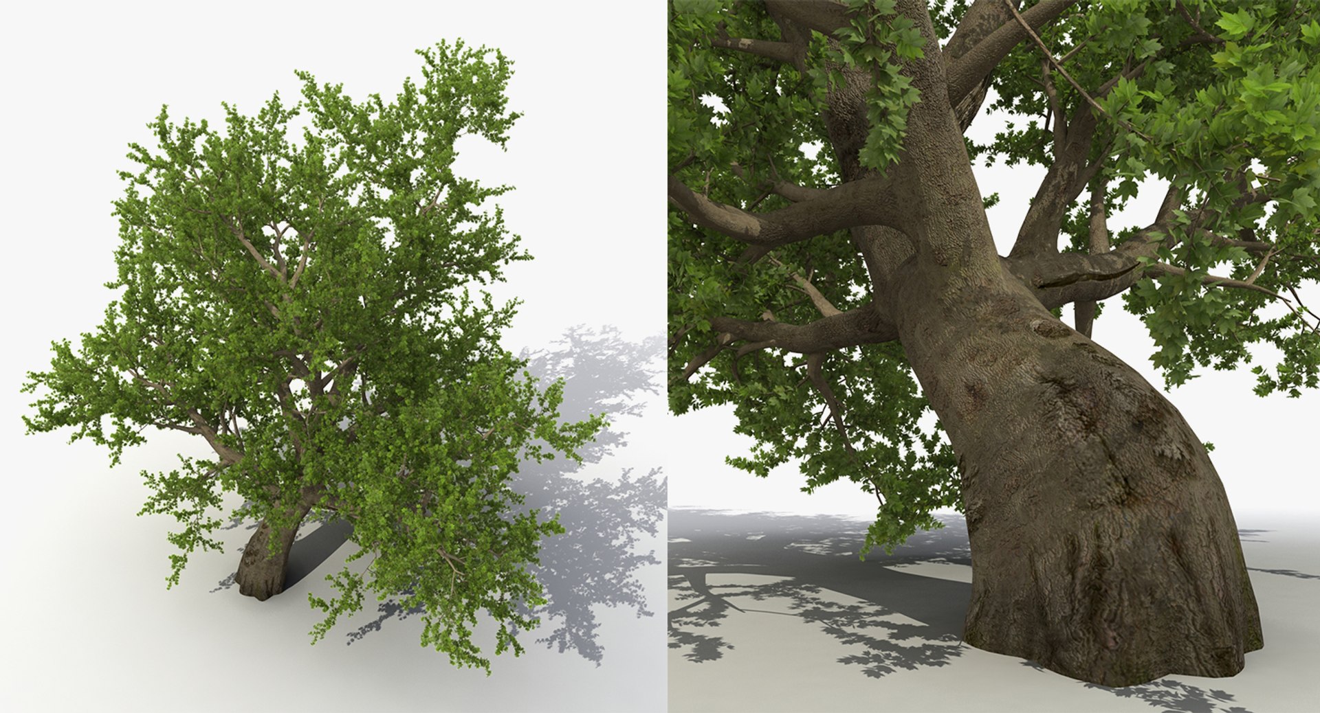 summer trees 2 3D model https://p.turbosquid.com/ts-thumb/3V/LAMIPj/JTRxm8Rb/summertreescollection2mb3dmodel010/jpg/1538238327/1920x1080/fit_q87/33a3f58ea47b28d5463f0fd606fe75ed900eabe9/summertreescollection2mb3dmodel010.jpg