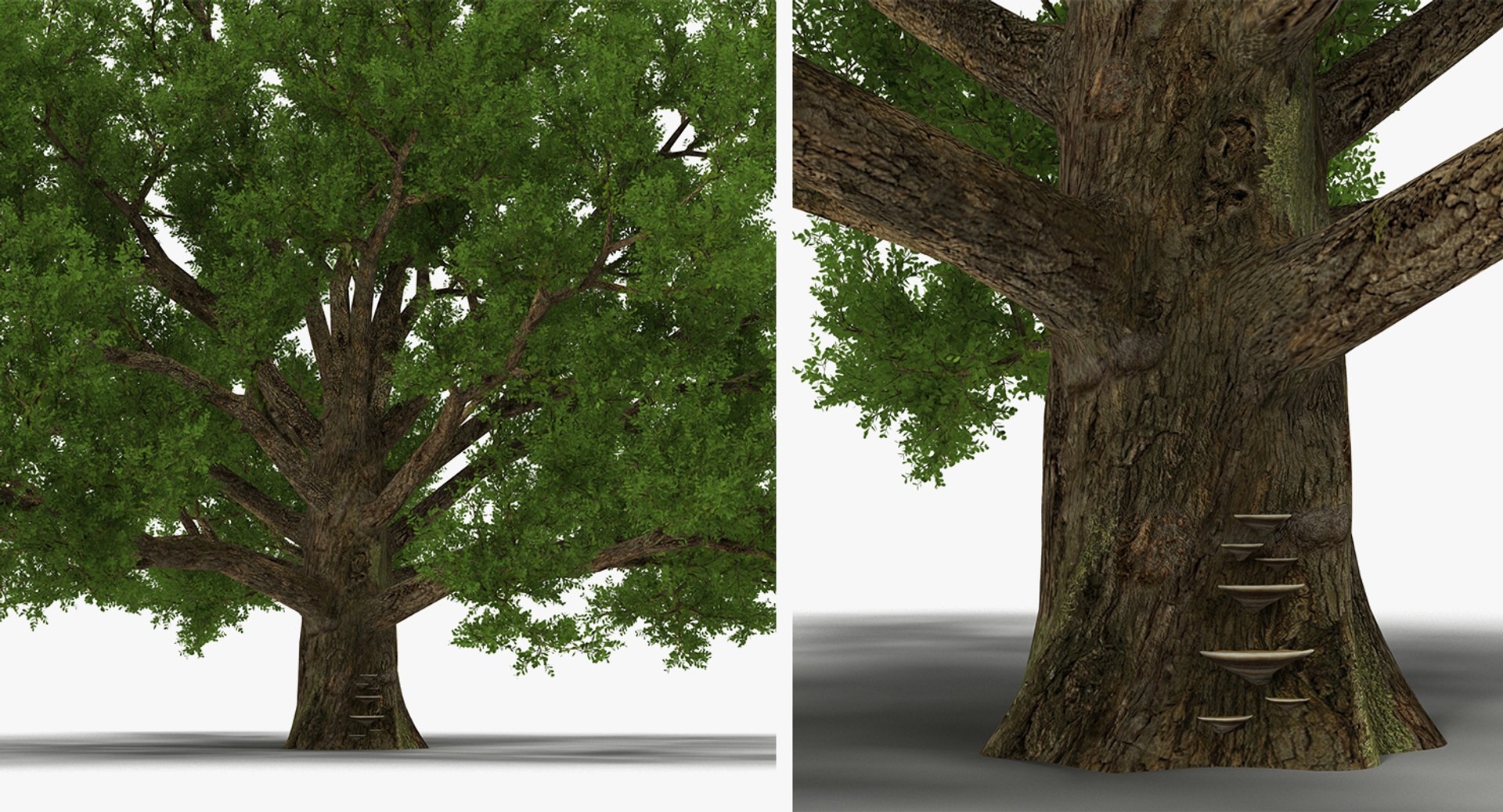 summer trees 2 3D model https://p.turbosquid.com/ts-thumb/3V/LAMIPj/KBE3lJCc/summertreescollection2mb3dmodel022/jpg/1538238327/1920x1080/fit_q87/3ba35b18b30f51b2503c873595956fad391044dd/summertreescollection2mb3dmodel022.jpg