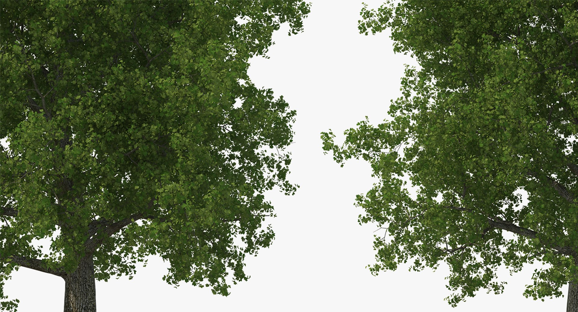 summer trees 2 3D model https://p.turbosquid.com/ts-thumb/3V/LAMIPj/MhT6Zabr/summertreescollection2mb3dmodel012/jpg/1538238327/1920x1080/fit_q87/1d9ae7148890840d81faa57b27f7ef5a85870983/summertreescollection2mb3dmodel012.jpg