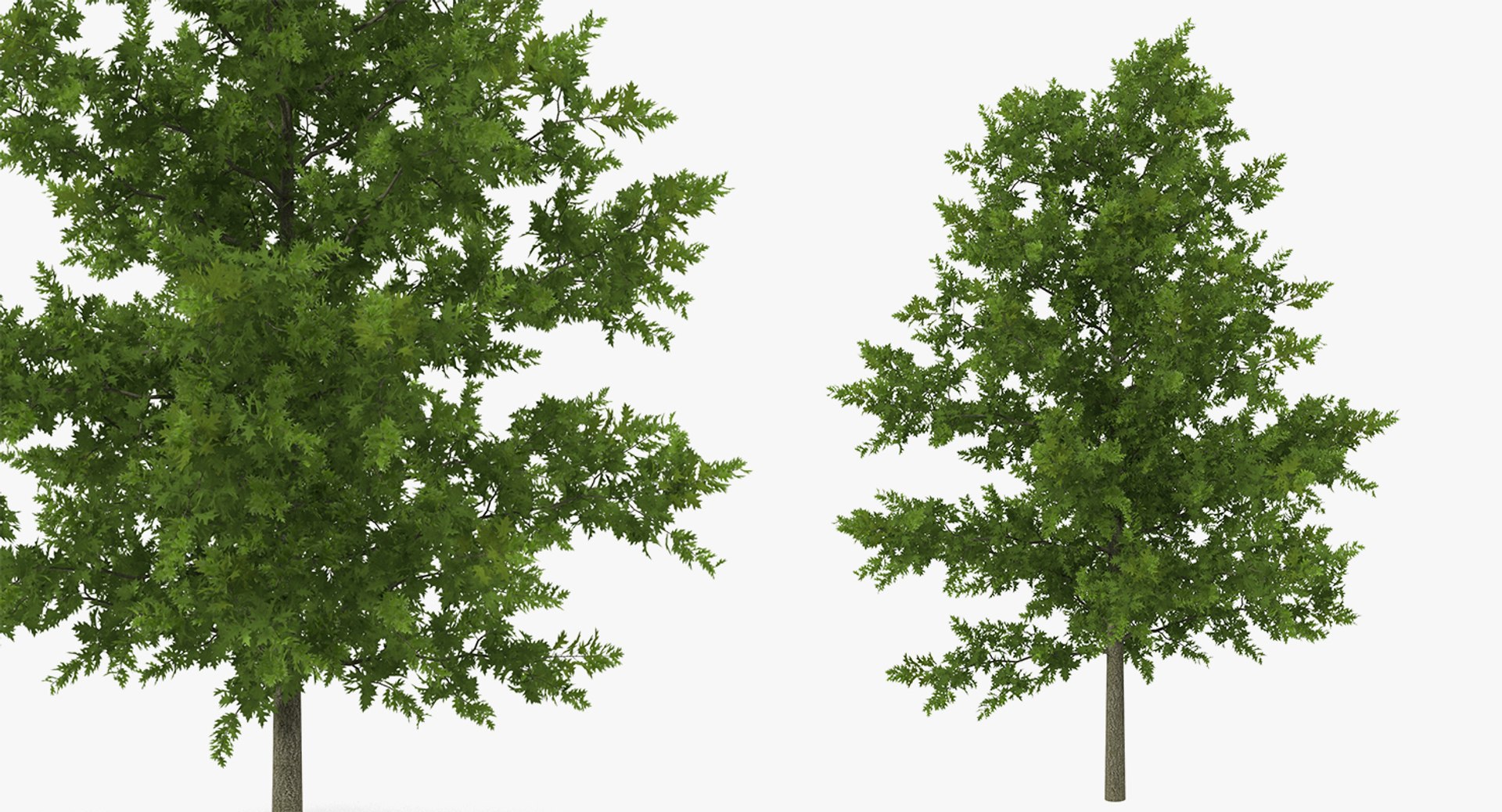 summer trees 2 3D model https://p.turbosquid.com/ts-thumb/3V/LAMIPj/bd75MTUT/summertreescollection2mb3dmodel005/jpg/1538238327/1920x1080/fit_q87/acbf9fc07b8cf5248dea2f3cf582afa469bdb981/summertreescollection2mb3dmodel005.jpg