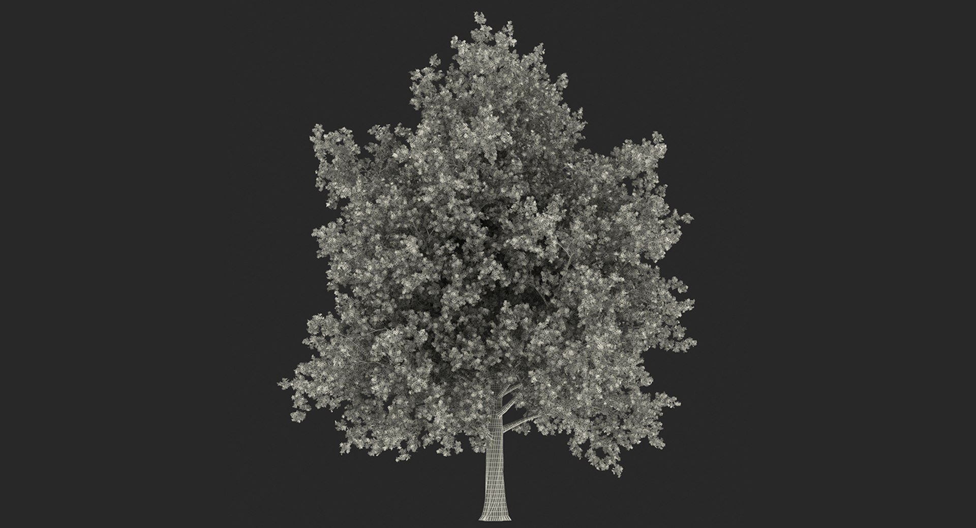 summer trees 2 3D model https://p.turbosquid.com/ts-thumb/3V/LAMIPj/iH0KS9tq/summertreescollection2mb3dmodel034/jpg/1538238327/1920x1080/fit_q87/4c5125c0bbd8cfcb54762a3e2ab4343d2f83f560/summertreescollection2mb3dmodel034.jpg