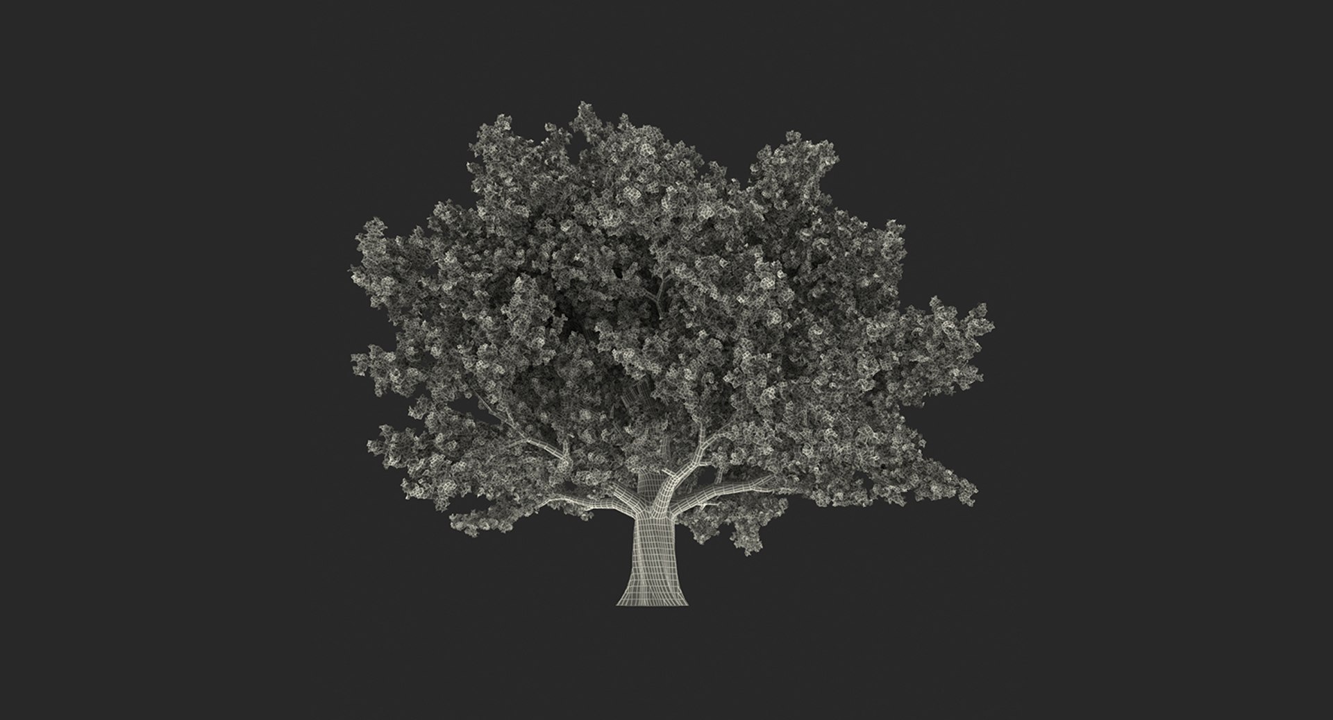 summer trees 2 3D model https://p.turbosquid.com/ts-thumb/3V/LAMIPj/jGiz1ze0/summertreescollection2mb3dmodel027/jpg/1538238327/1920x1080/fit_q87/946c297270e826057c1bc2ee3d87c9838cd05408/summertreescollection2mb3dmodel027.jpg