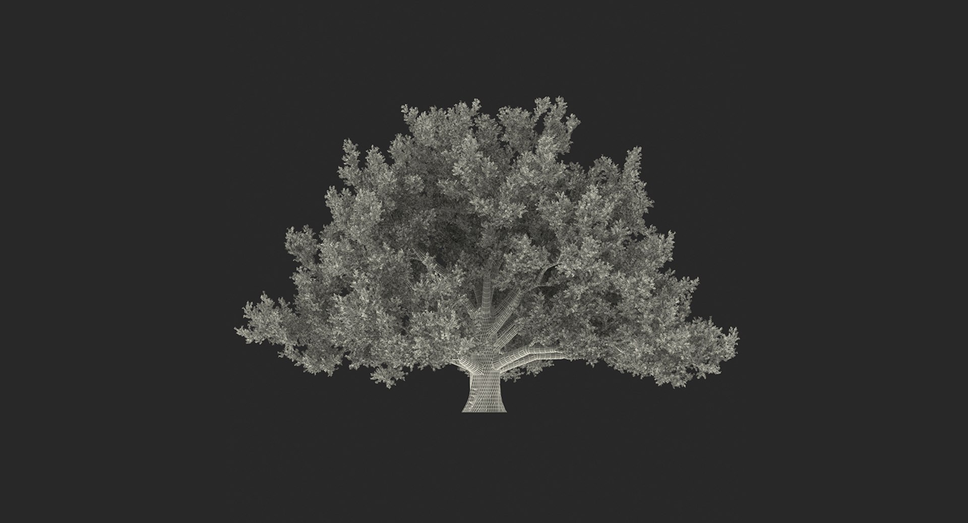 summer trees 2 3D model https://p.turbosquid.com/ts-thumb/3V/LAMIPj/nDgb65ql/summertreescollection2mb3dmodel036/jpg/1538238327/1920x1080/fit_q87/c16191ad188c1a366d723f651831e42ab144a15f/summertreescollection2mb3dmodel036.jpg