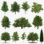 summer trees 2 3D model