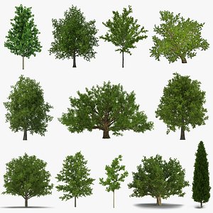 Summer Trees 3D Models Collection 2