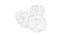 Gallbladder Gall Bladder
