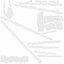 Gallbladder Gall Bladder